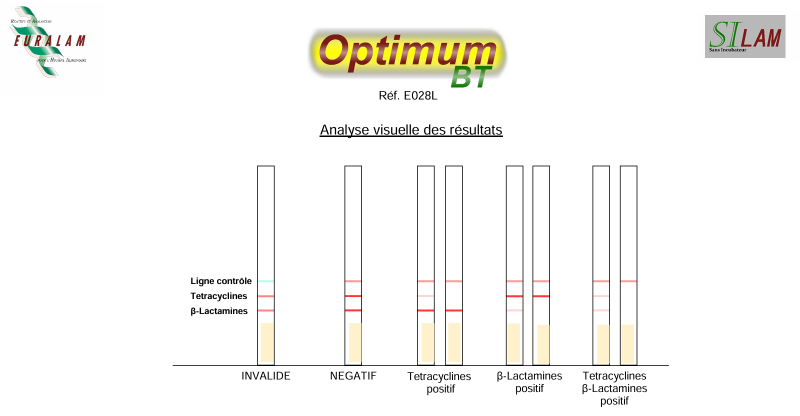 Analyse visuelle des résultats du test de détection des antibiotiques